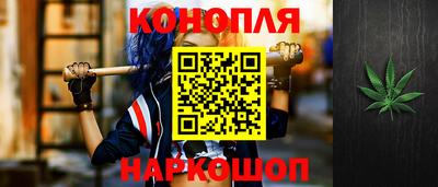 гидра Новозыбков