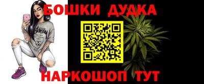 гидра Новозыбков