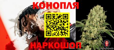 прущие крисы Новокубанск