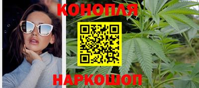 гидра Новозыбков
