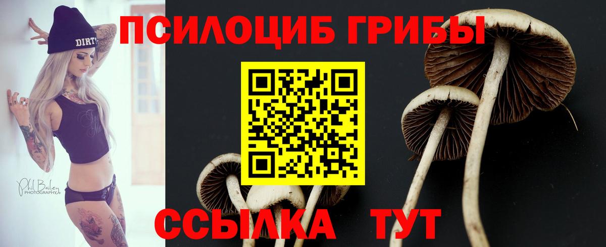 Галлюциногенные грибы мицелий Сарапул